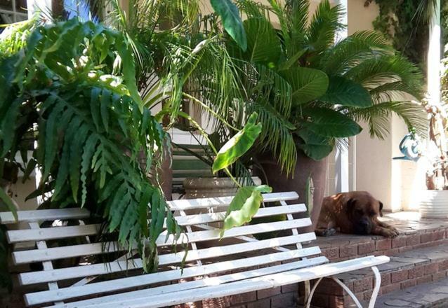 Mavilla Stellenbosch B&B المظهر الخارجي الصورة